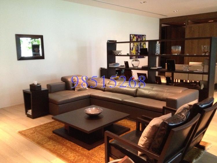 Nassim Park Residences (D10), Condominium #158019712